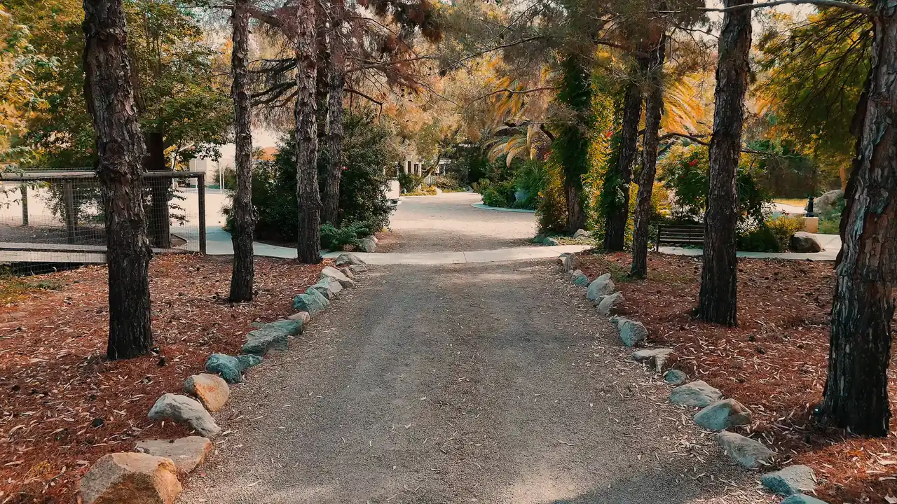 A tree-lined path winding through the five acres of garden at The Garden