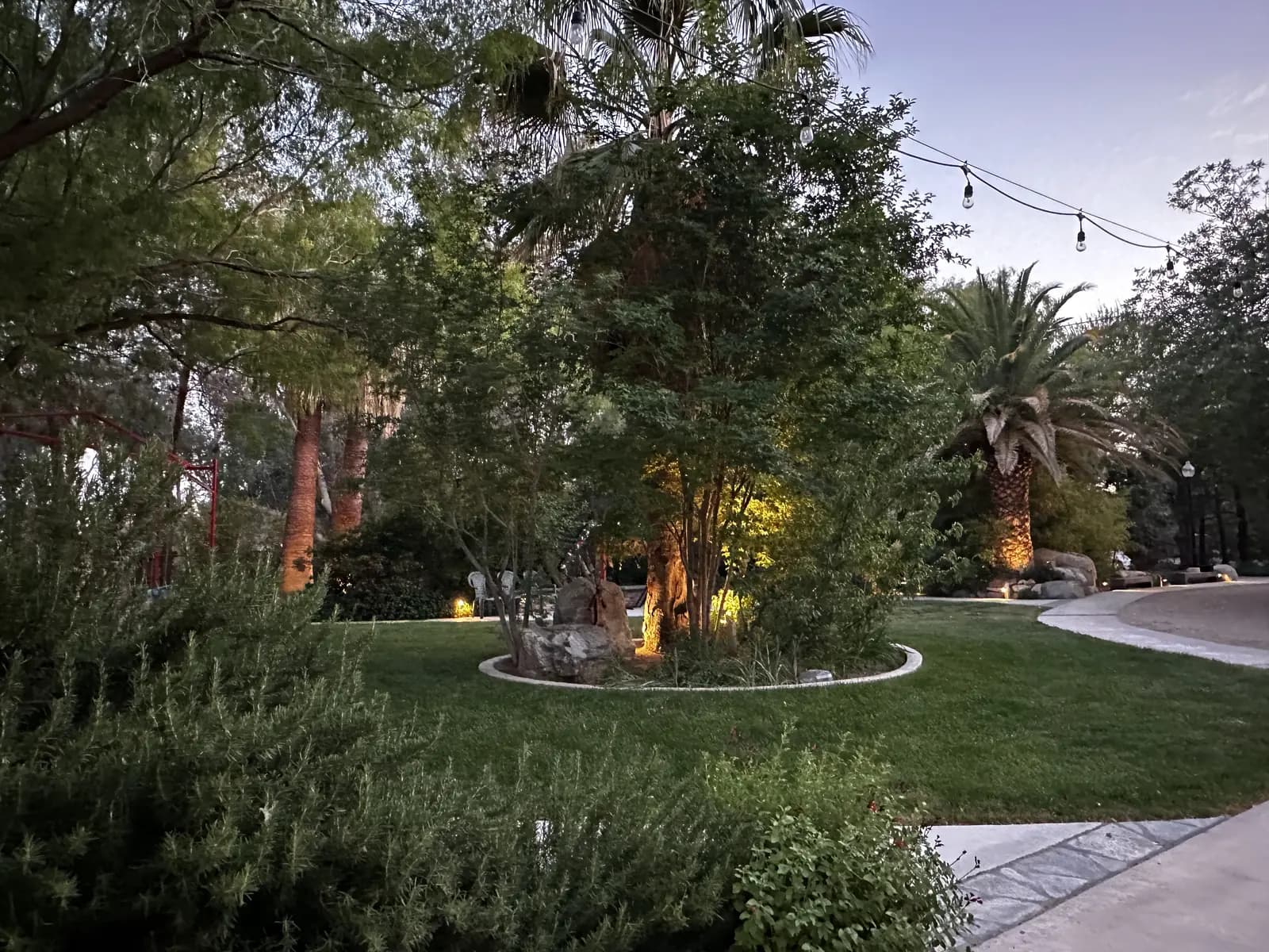 Uplit trees and garden beds along a path at The Garden at dusk