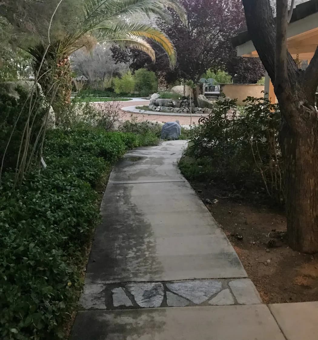A winding path through the greenery at The Garden at dusk